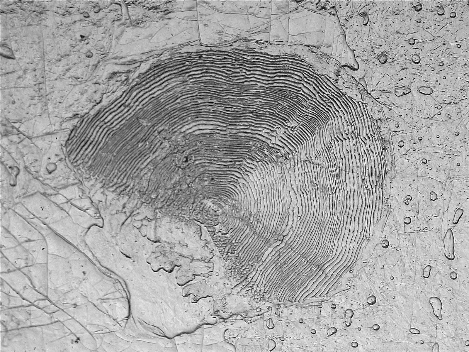 Example Image